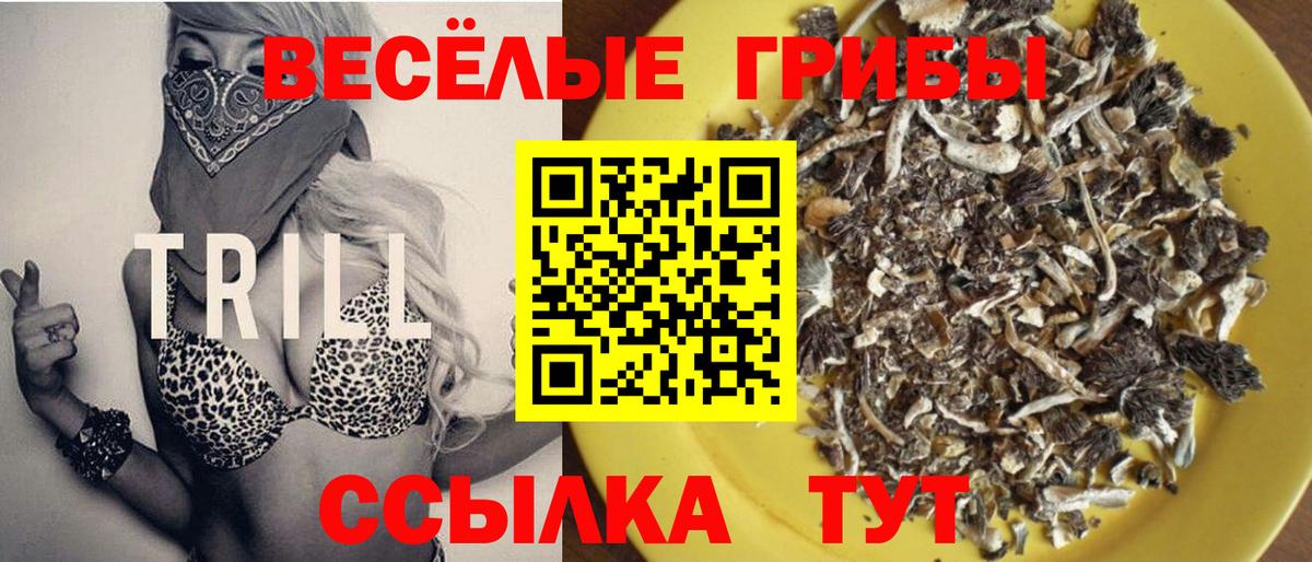 Псилоцибиновые грибы мицелий  Вход с VPN  Сланцы 